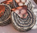 Sac Rond en Paille Tressée & Sequins Noirs – L’Élégance Intemporelle de l’Artisanat Marocain